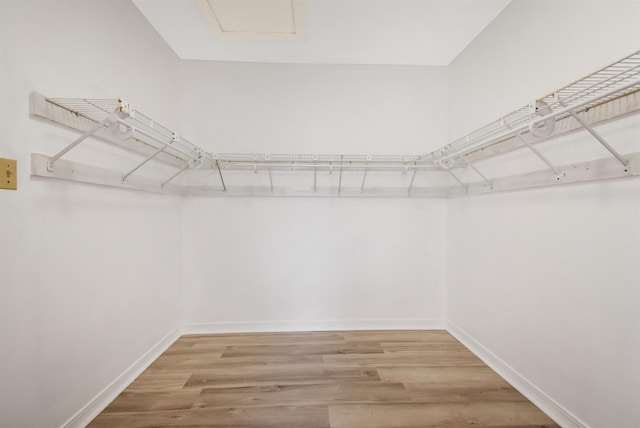 spacious closet featuring hardwood / wood-style floors