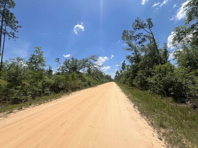 TBD Tamarac Rd, Marianna, FL 32448 - photo 2