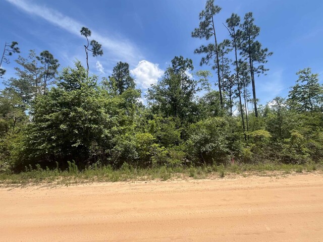TBD Tamarac Rd, Marianna, FL 32448 - photo 1