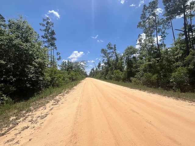 TBD Tamarac Rd, Marianna, FL 32448 - photo 6
