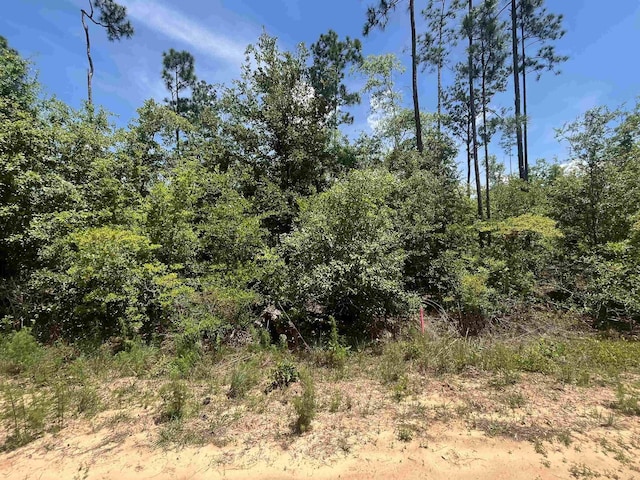TBD Tamarac Rd, Marianna, FL 32448 - photo 3