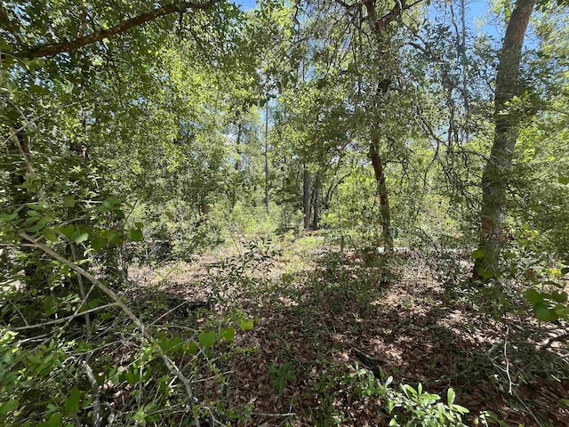TBD Tamarac Rd, Marianna, FL 32448 - photo 9