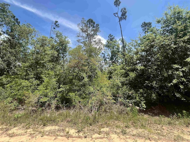 TBD Tamarac Rd, Marianna, FL 32448 - photo 5
