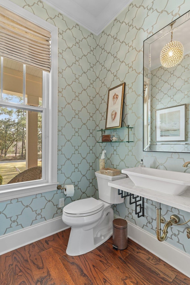 bathroom featuring crown molding, sink, hardwood / wood-style floors, and toilet