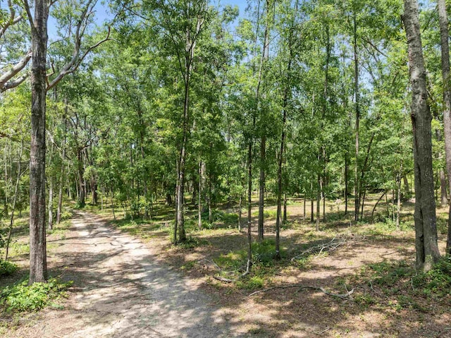 852 E Buckhorn Trl, Greenville, FL 32331 - photo 41