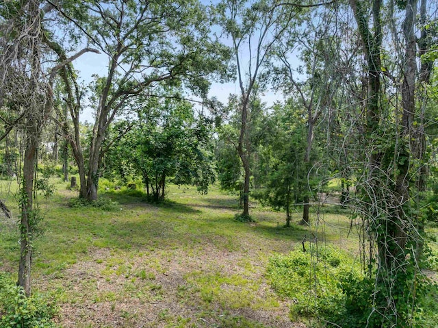 852 E Buckhorn Trl, Greenville, FL 32331 - photo 11