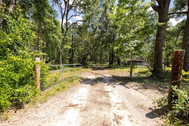 852 E Buckhorn Trl, Greenville, FL 32331 - photo 8