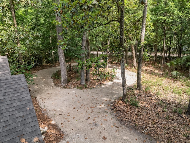 89 Mysterious Waters Rd, Crawfordville, FL 32327 - photo 36