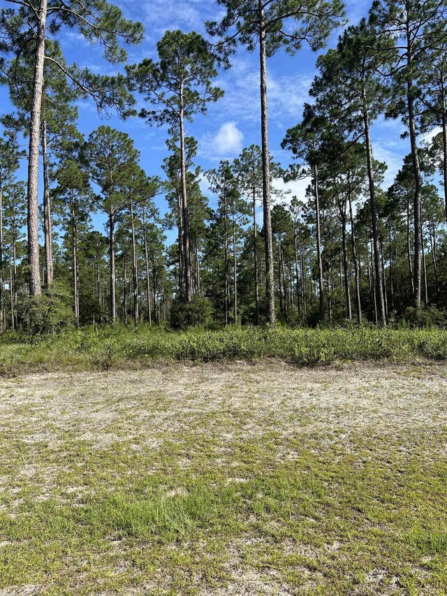 LOTI20 Hidden Horse Way, Tallahassee, FL 32305 - photo 20
