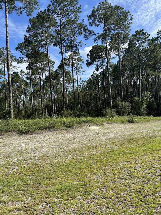 LOTI20 Hidden Horse Way, Tallahassee, FL 32305 - photo 21