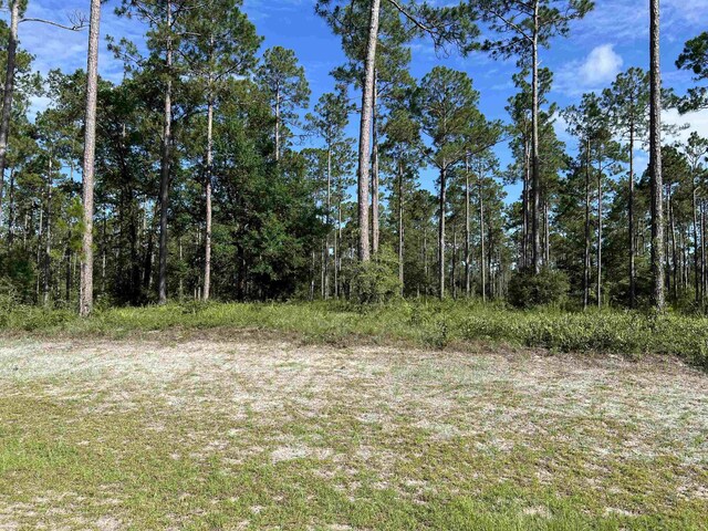 LOTI20 Hidden Horse Way, Tallahassee, FL 32305 - photo 15