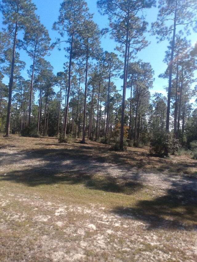 LOTI20 Hidden Horse Way, Tallahassee, FL 32305 - photo 12
