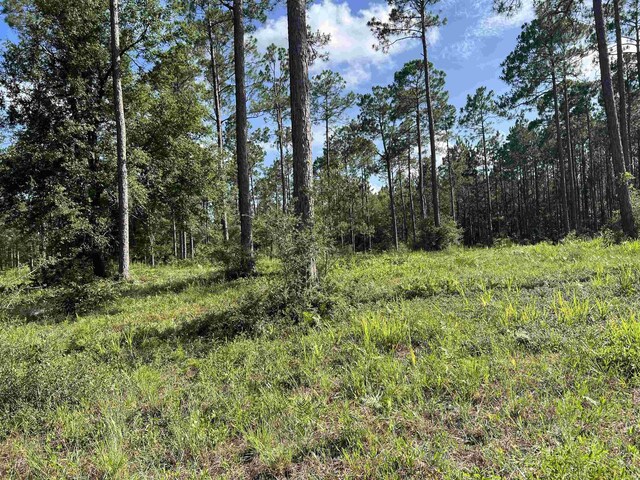 LOTI20 Hidden Horse Way, Tallahassee, FL 32305 - photo 3