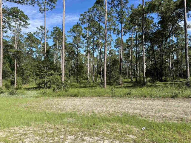 LOTI20 Hidden Horse Way, Tallahassee, FL 32305 - photo 22