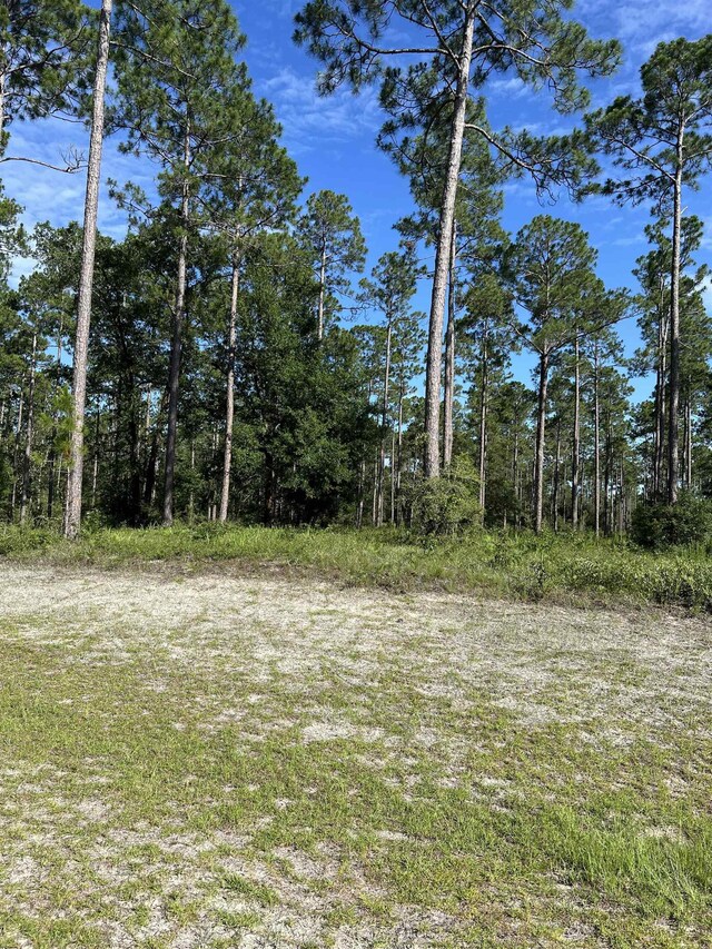 LOTI20 Hidden Horse Way, Tallahassee, FL 32305 - photo 19