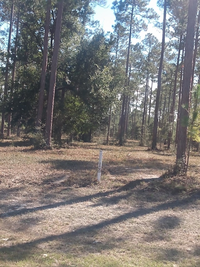 LOTI20 Hidden Horse Way, Tallahassee, FL 32305 - photo 7