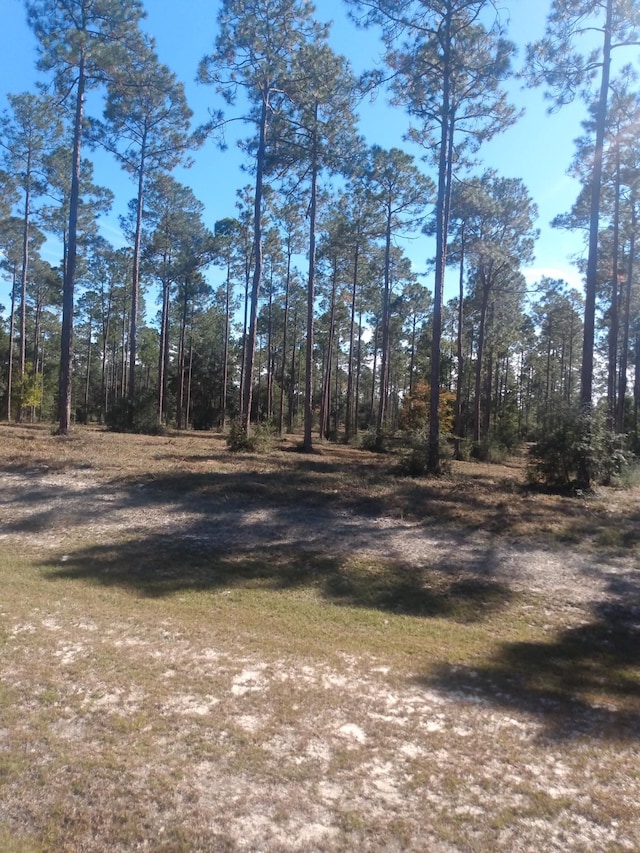 LOTI20 Hidden Horse Way, Tallahassee, FL 32305 - photo 6
