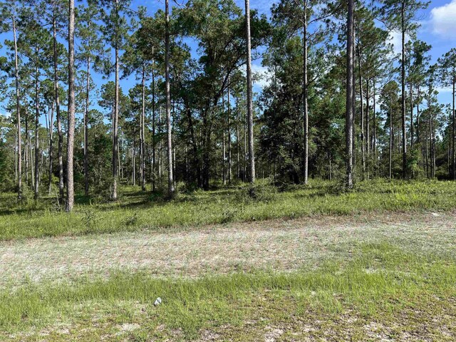 LOTI20 Hidden Horse Way, Tallahassee, FL 32305 - photo 16