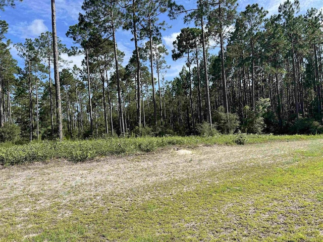 LOTI20 Hidden Horse Way, Tallahassee, FL 32305 - photo 9