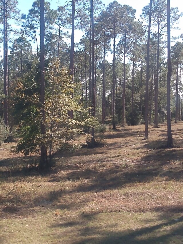 LOTI20 Hidden Horse Way, Tallahassee, FL 32305 - photo 10