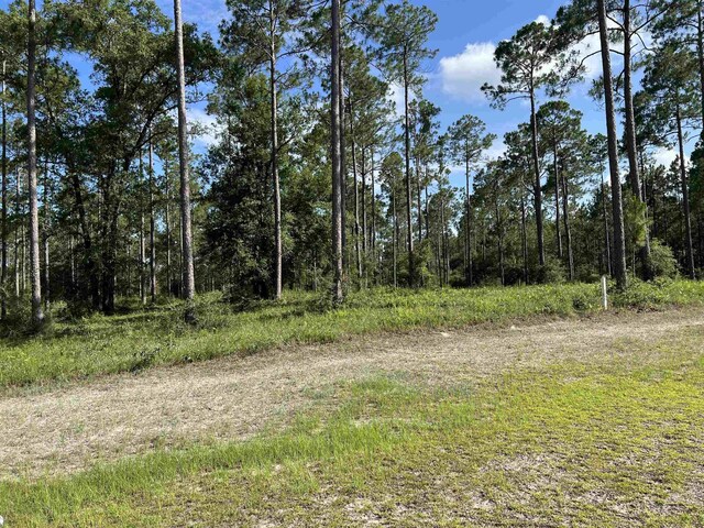 LOTI20 Hidden Horse Way, Tallahassee, FL 32305 - photo 17