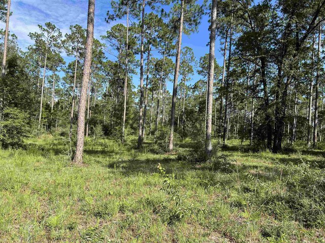 LOTI20 Hidden Horse Way, Tallahassee, FL 32305 - photo 18
