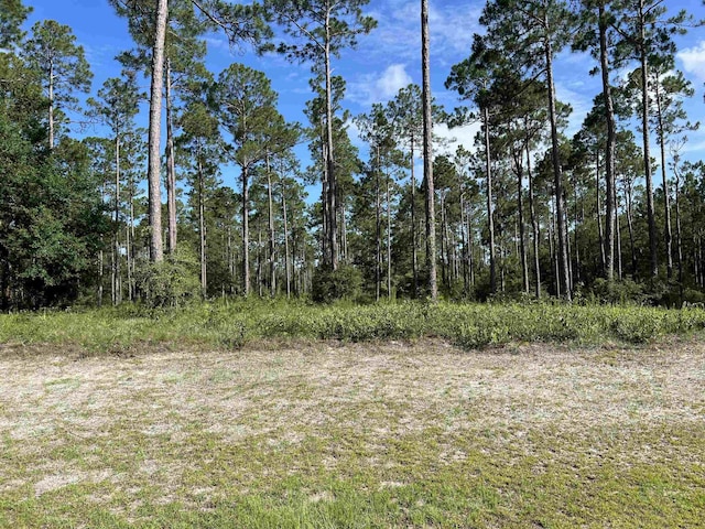 LOTI20 Hidden Horse Way, Tallahassee, FL 32305 - photo 8
