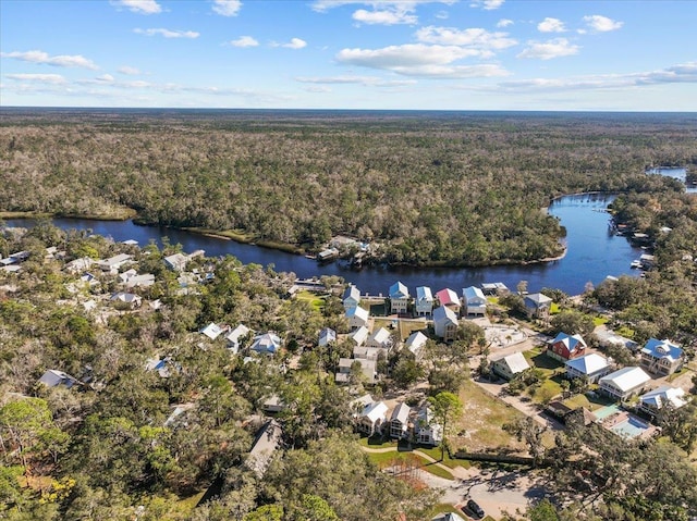 233 NE Maggie Cir, Steinhatchee, FL 32359 - aerial view of residential area featuring a forest and a nearby body of water
