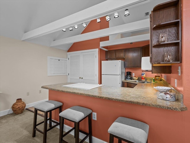 233 NE Maggie Cir, Steinhatchee, FL 32359 - kitchen featuring freestanding refrigerator, lofted ceiling, a peninsula, open shelves, and a sink