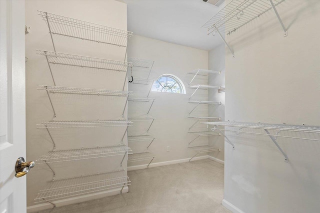 walk in closet with carpet