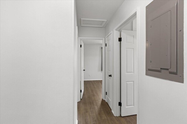 603 W Ash St, Perry, FL 32347 - hall featuring electric panel, dark wood-style flooring, and attic access
