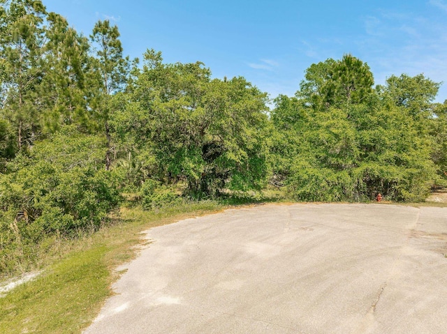 LOT16 Simmons Ct, Ochlockonee Bay, FL 32346 - photo 2