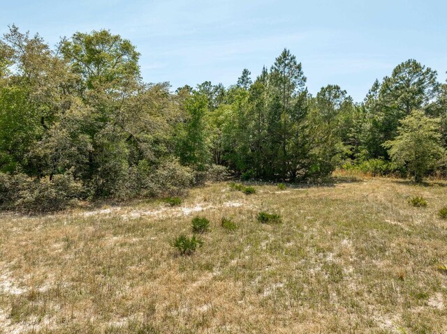 LOT16 Simmons Ct, Ochlockonee Bay, FL 32346 - photo 3