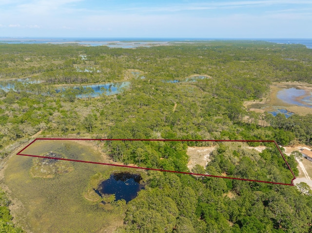 LOT16 Simmons Ct, Ochlockonee Bay, FL 32346 - photo 11