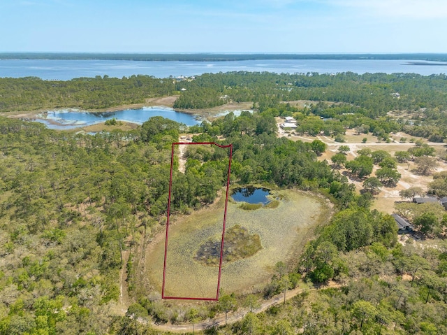 LOT16 Simmons Ct, Ochlockonee Bay, FL 32346 - photo 9