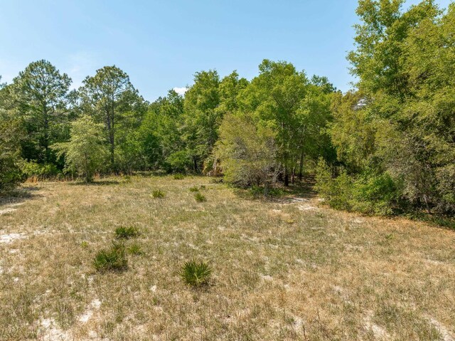 LOT16 Simmons Ct, Ochlockonee Bay, FL 32346 - photo 4