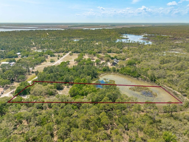 LOT16 Simmons Ct, Ochlockonee Bay, FL 32346 - photo 7
