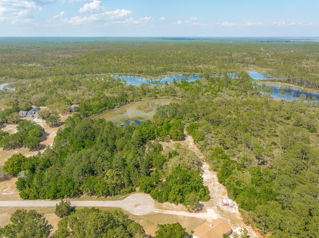 LOT16 Simmons Ct, Ochlockonee Bay, FL 32346 - photo 14
