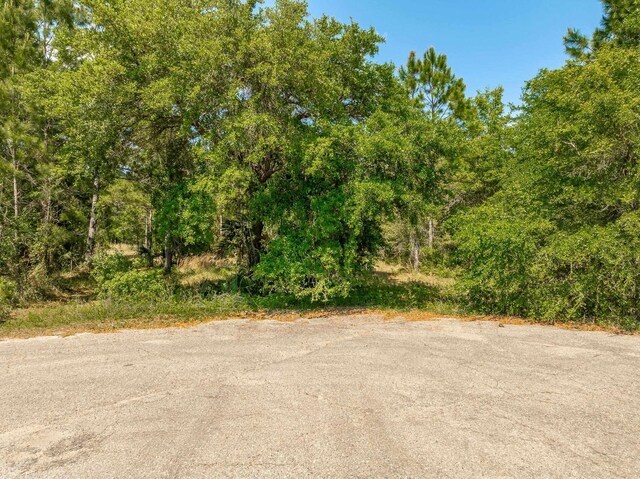 LOT16 Simmons Ct, Ochlockonee Bay, FL 32346 - photo 1