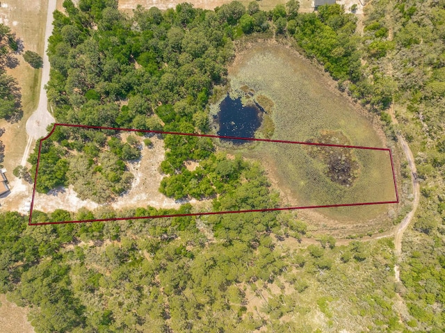 LOT16 Simmons Ct, Ochlockonee Bay, FL 32346 - photo 5