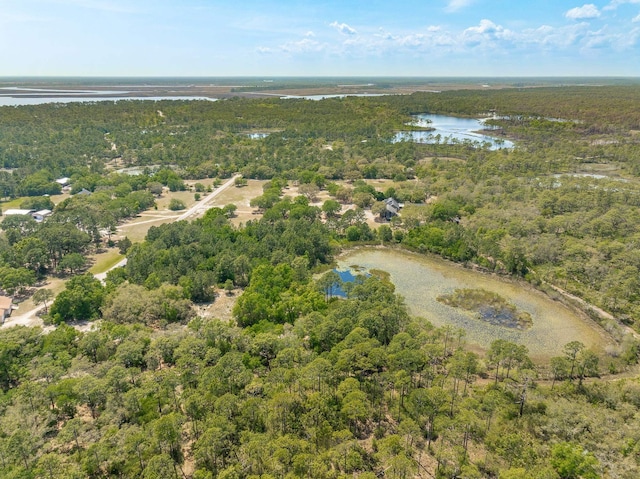 LOT16 Simmons Ct, Ochlockonee Bay, FL 32346 - photo 8