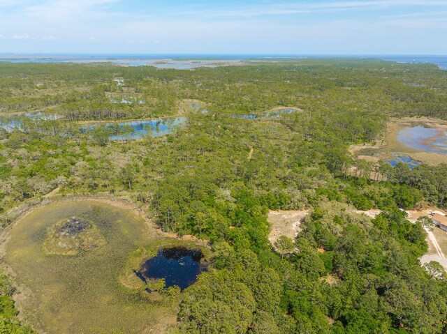 LOT16 Simmons Ct, Ochlockonee Bay, FL 32346 - photo 12