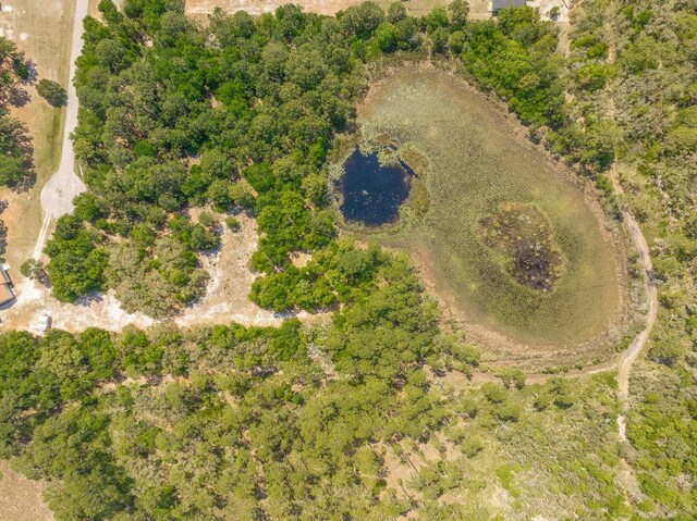 LOT16 Simmons Ct, Ochlockonee Bay, FL 32346 - photo 6