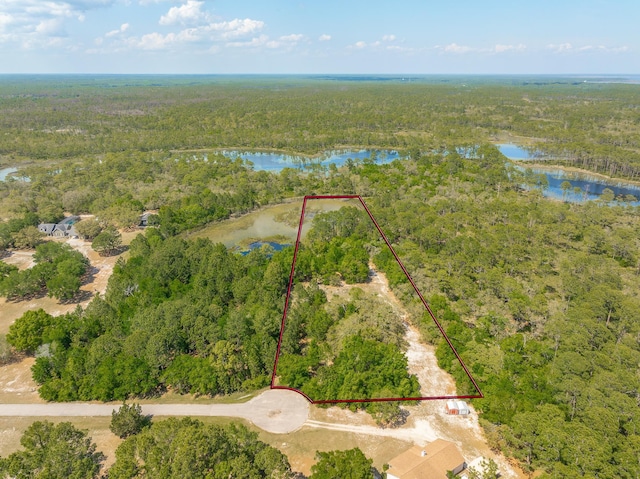 LOT16 Simmons Ct, Ochlockonee Bay, FL 32346 - photo 13