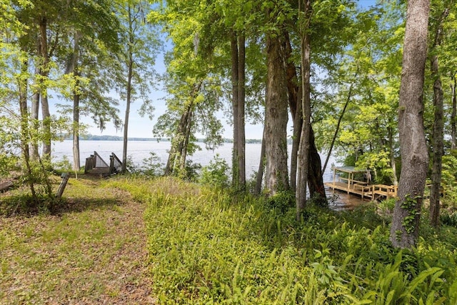 view of yard with a water view