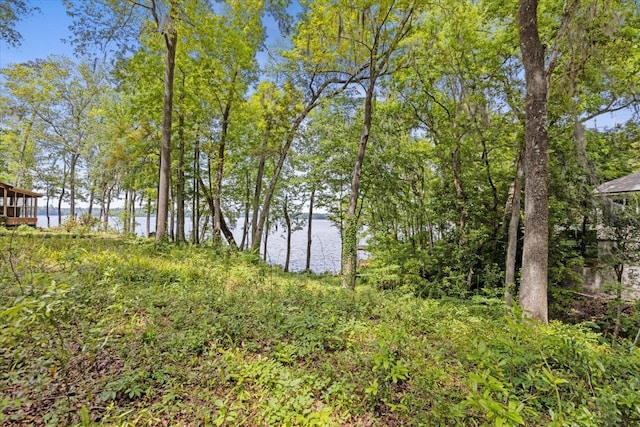 view of landscape featuring a water view