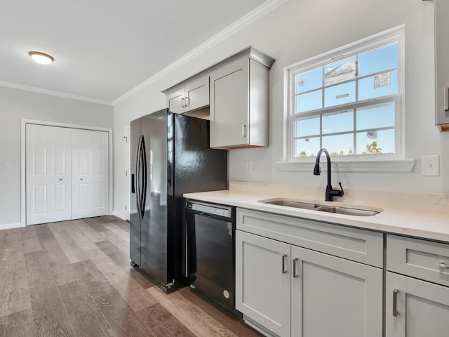 kitchen with sink, light wood-type flooring, gray cabinets, black appliances, and ornamental molding