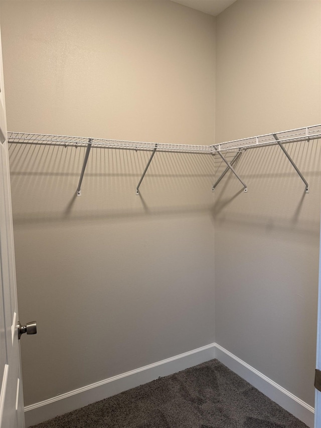 spacious closet with carpet