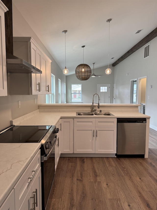 kitchen featuring electric range, a sink, visible vents, wall chimney range hood, and stainless steel dishwasher