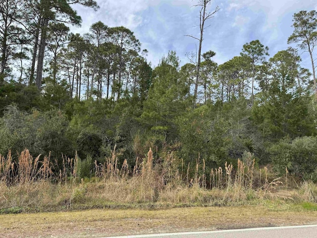 XX Ryan Dr, Carrabelle, FL 32322
